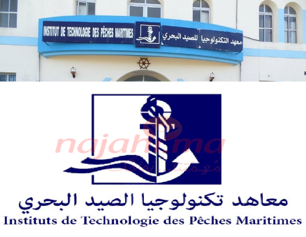 ولوج معهدي التكنولوجيا للصيد البحري ومراكز التأهيل المهني البحري